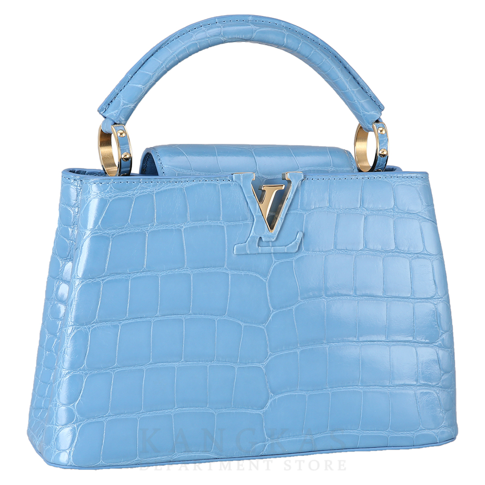 LOUIS VUITTON(USED)루이비통 와니 카퓌신 BB